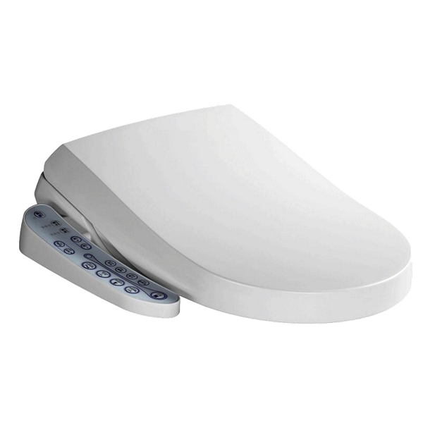 Luxe Japans toilet brons